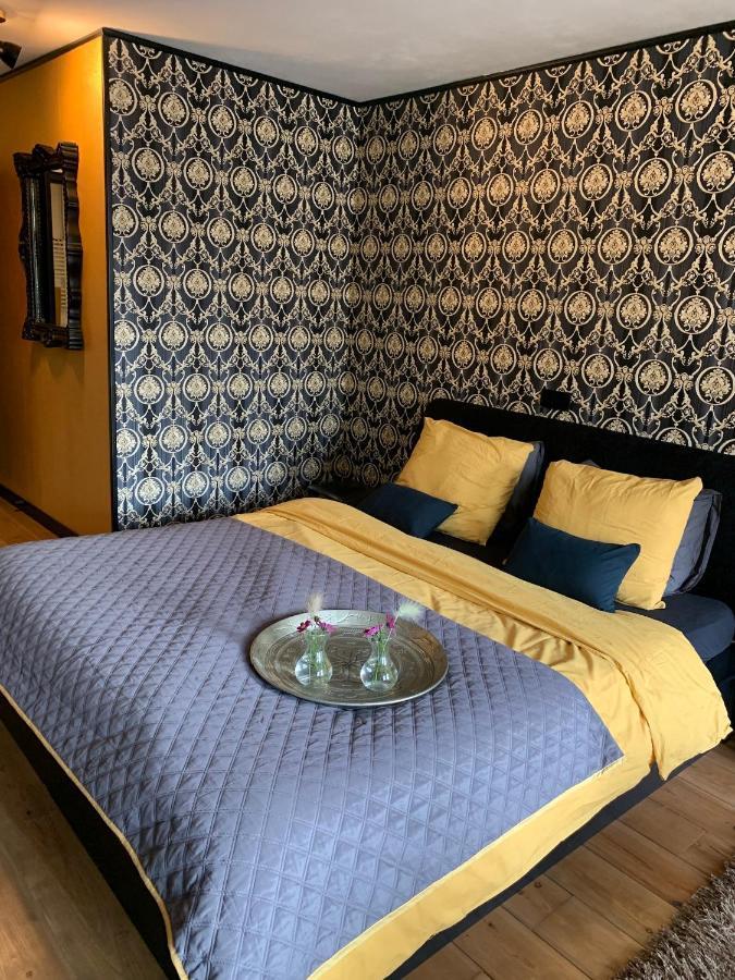 By Goselink Bed & Breakfast Alkmaar Bagian luar foto